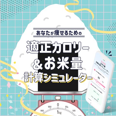 あなたが痩せるための 適正カロリー＆お米量 計算シミュレーター